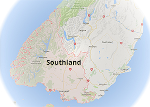 Wellington_safety_net_installers